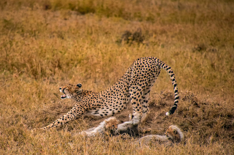 Serengeti National Park